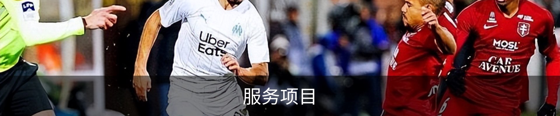 服务项目