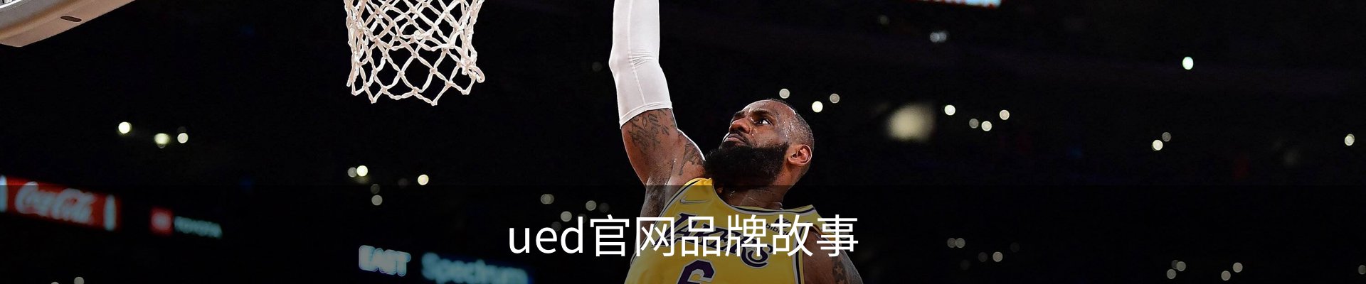 ued官网品牌故事